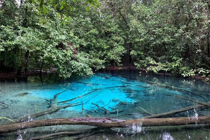 krabi rainforest discovery tour