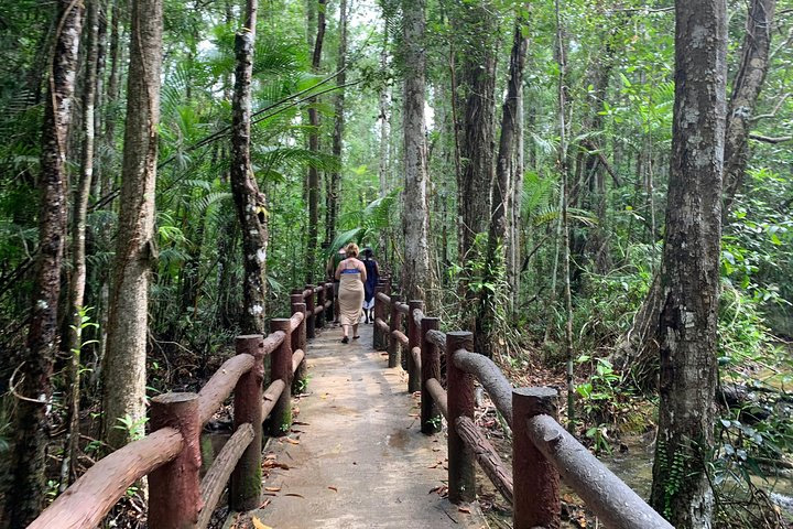 krabi rainforest tour