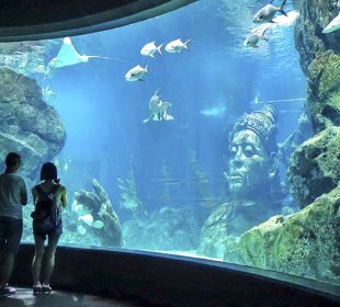 bangkok sea life aquarium