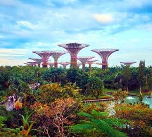 Gardens by the Bay in Singapore